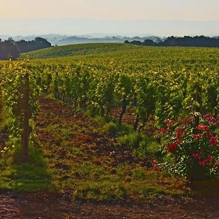 Agriturismo Fattoria Il Piano - Appartamento Focolare - San Gimignano Zewnętrze zdjęcie