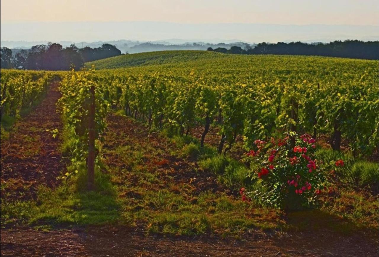 Agriturismo Fattoria Il Piano - Appartamento Focolare - San Gimignano Zewnętrze zdjęcie