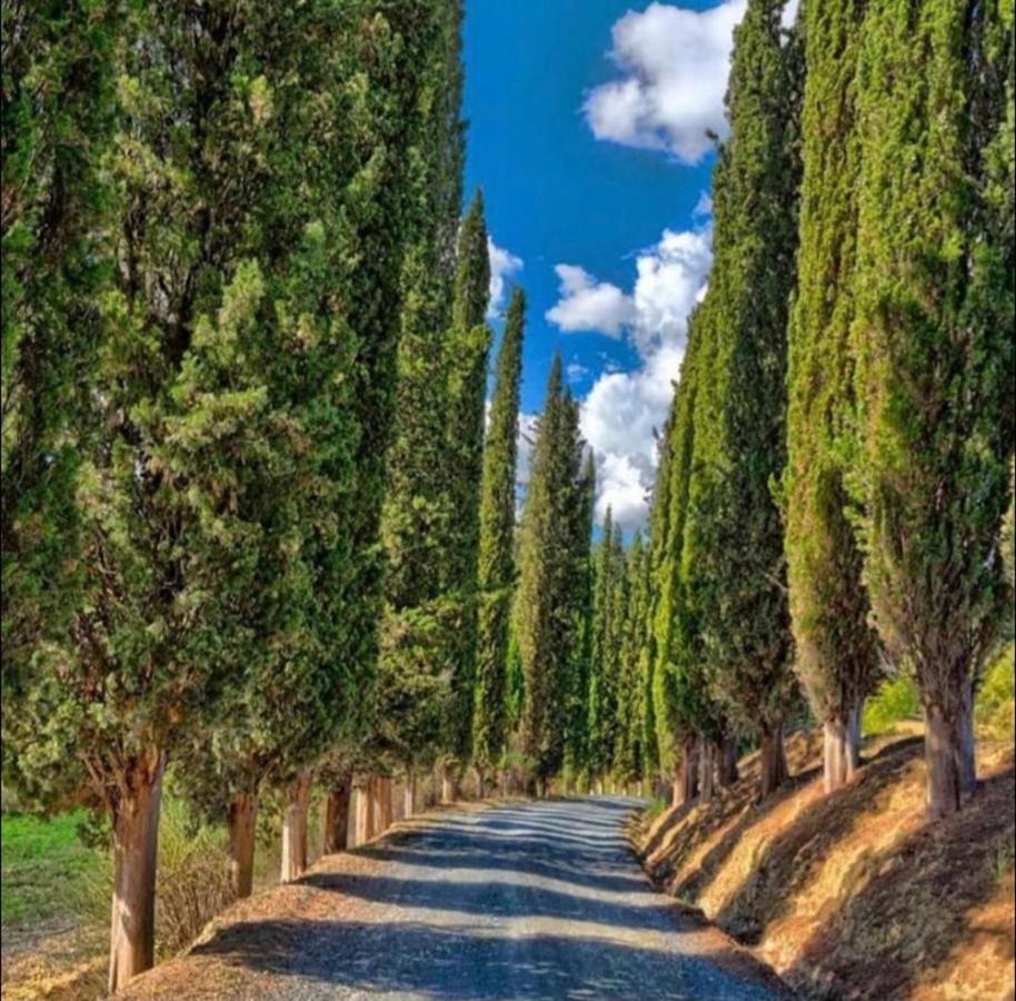 Agriturismo Fattoria Il Piano - Appartamento Focolare - San Gimignano Zewnętrze zdjęcie