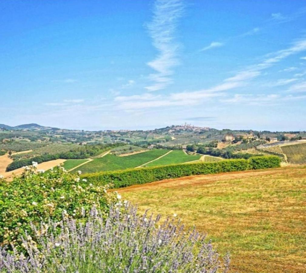 Agriturismo Fattoria Il Piano - Appartamento Focolare - San Gimignano Zewnętrze zdjęcie